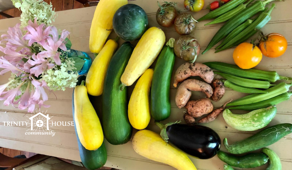 THComm Blog Aug 2020 Week 3